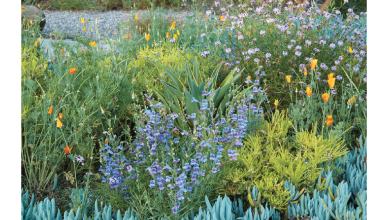 Real Simple ideas for making your garden more eco-friendly